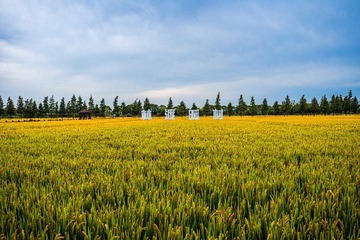 D91586A5-6367-41BB-AA26-49D536A0651D/L0/001