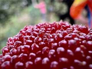 DFBACD1D-307E-4A6B-AAB2-17F8744407F2/L0/001