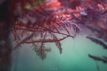 924B6D17-0089-40DE-B0EF-5837A2E864DB/L0/001