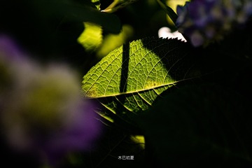1443A9E6-C151-4C2D-BE68-8A01ACE103C7/L0/001