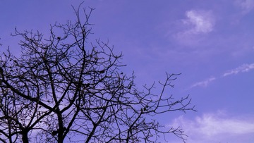 PA290078