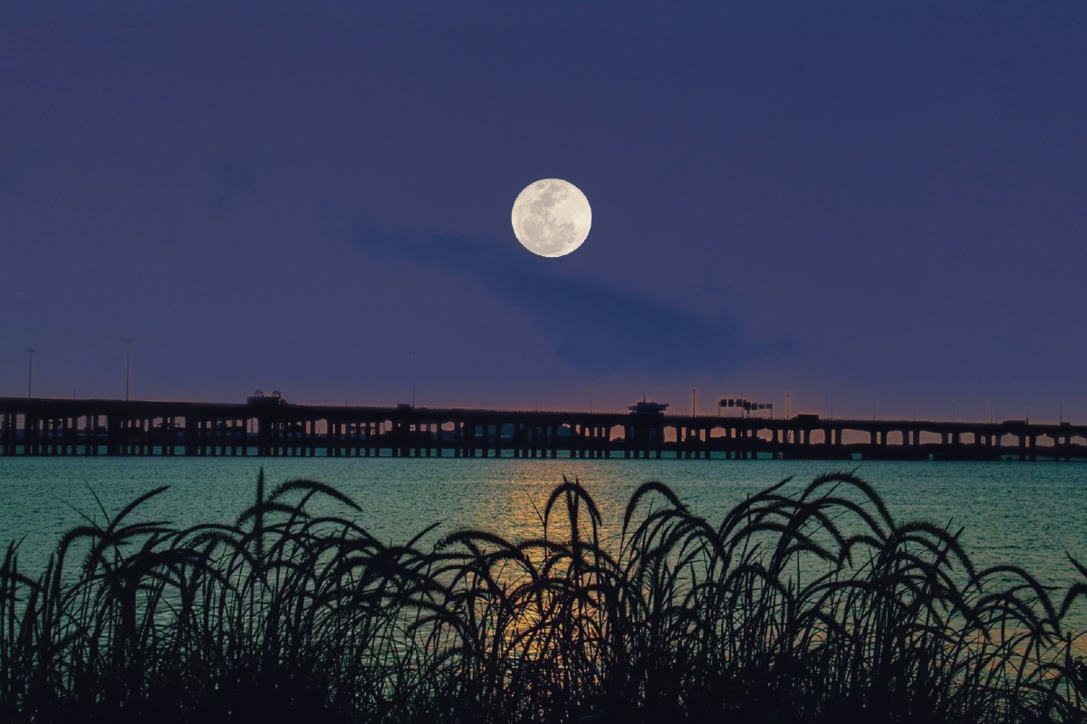 湖边月色忆佳人