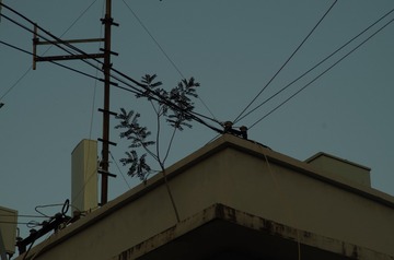 70479