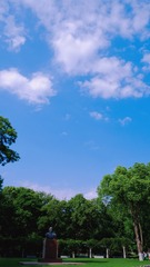 63018079-BA31-4943-B0E4-254872DD9CB7/L0/001