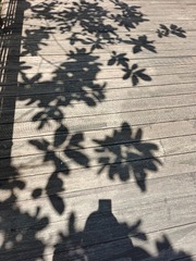 1000046262