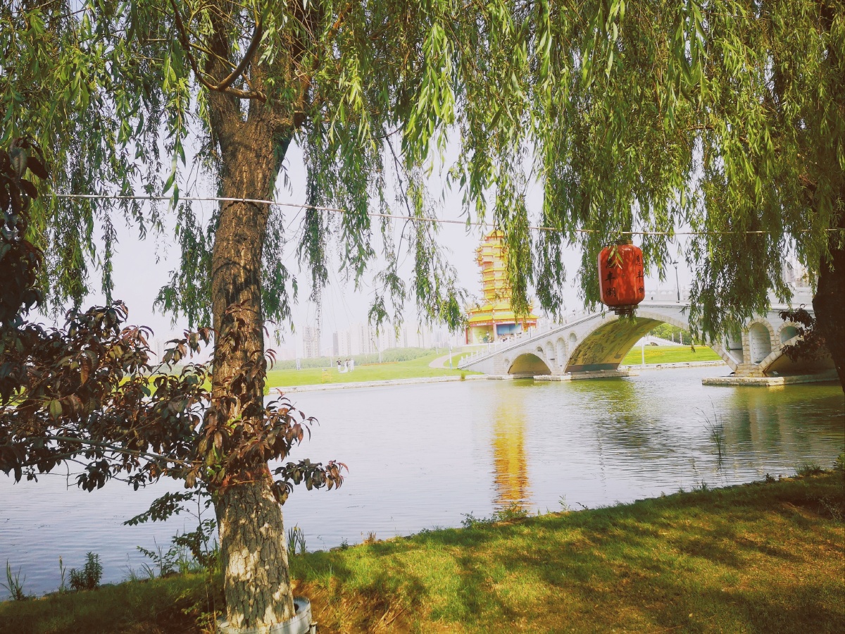 公园小河水边,风徐徐,水粼粼,心情惬意.