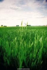 _MG_9409n1ss_web