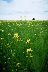 _MG_9428n_web