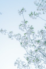 282E2708-FA8D-423C-BB21-1C7DD36B56CA/L0/001