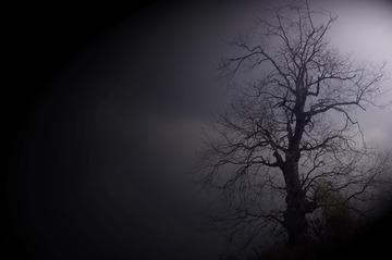 _IGP0352
