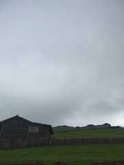1547549