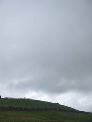 1547553