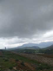 1547546