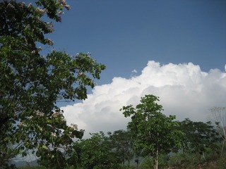 6AFB30DB-B4EC-489F-9CA7-2241EFCA3D30/L0/001