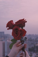 5973B27B-F51A-4EFF-998F-F54285C335D4/L0/001