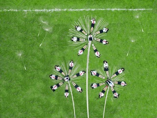 DJI_0023.psd-