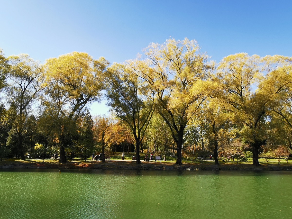 想和你一起欣赏抬眼即是风景的初秋颐和园