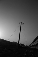 IMG_2387.jpg