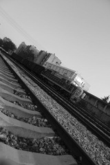 IMG_2400.jpg