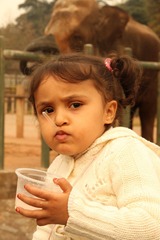 IMG_2836.jpg