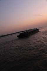 IMG_2463.jpg