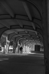 IMG_2117.jpg