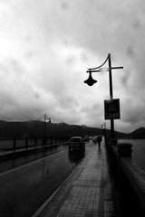 IMG_4993.jpg