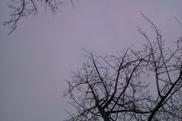 IMAG0080.jpg