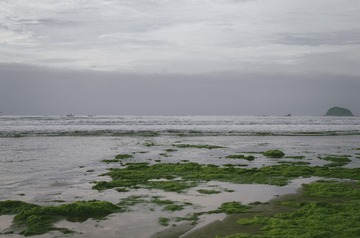 ACU_7970