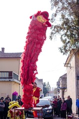 XYH_2377