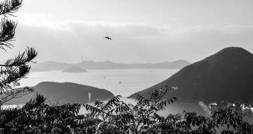 _XYH4675
