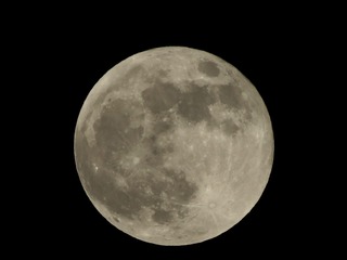 150544