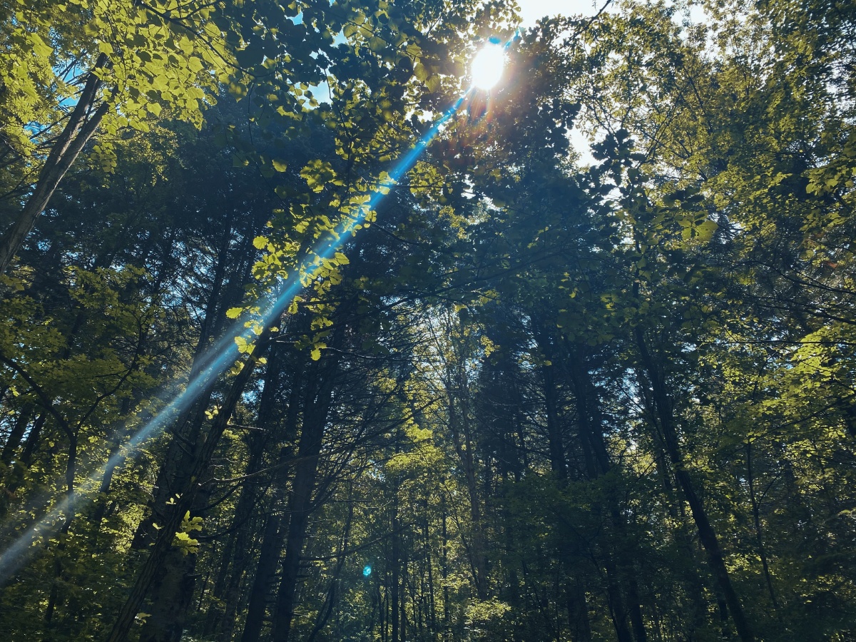 张开双臂拥抱每一个充满希望的早晨让阳光从身上温暖到心底