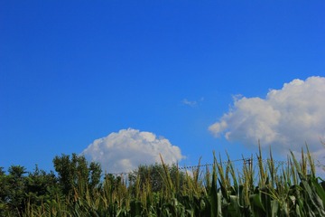 F7218F9E-E30C-492C-B65C-57024235325E/L0/001