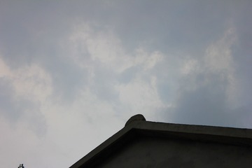 3807069E-9BC6-44CF-B234-C064554A94BD/L0/001