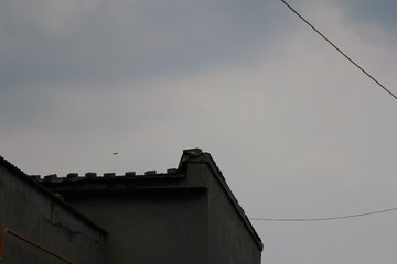 06D14C38-9E36-48DA-8B60-CC844275C735/L0/001