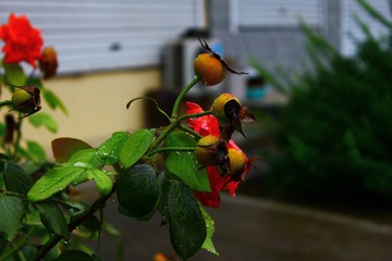 0D8C5682-B3E0-4F0D-BA79-7CF0C233D547/L0/001