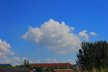 5854195A-FBA6-4F74-BB05-684D0E1C13E0/L0/001