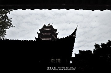 DSC_1862.JPG