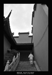 DSC_1999.JPG