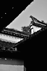 DSC_3734.JPG