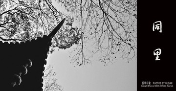 DSC_3760.JPG