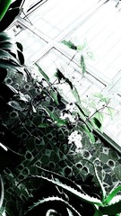 4A62E0FB-E981-43AD-A53E-C68AB36779E6/L0/001