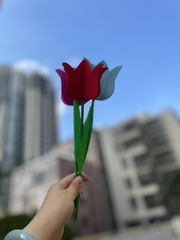 9117D5E4-1508-42B8-A515-299D373E5563/L0/001