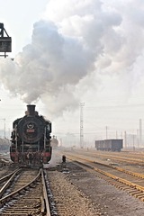 IMG_8250.jpg