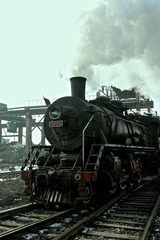 IMG_8255.jpg