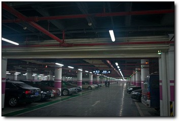 L1002306.jpg