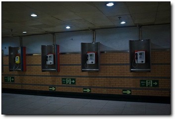 L1002318.jpg