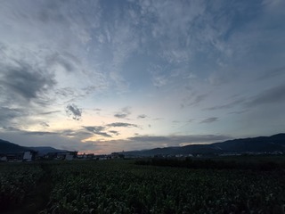 1000013787