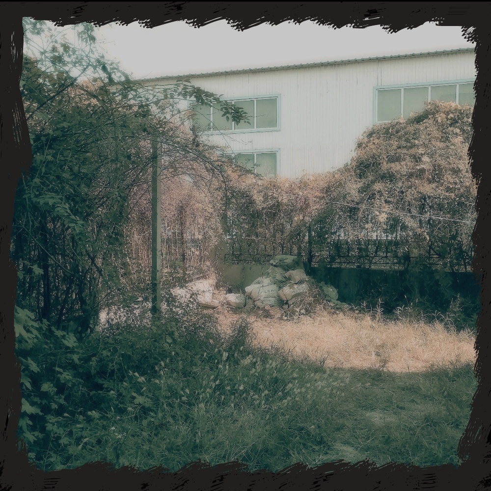 谁来赔这一生好光景